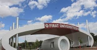 Hurda karşılığı yıkım ve enkaz kaldırma işleri yaptırılacaktır 1 FIRAT ÜNİVERSİTESİ